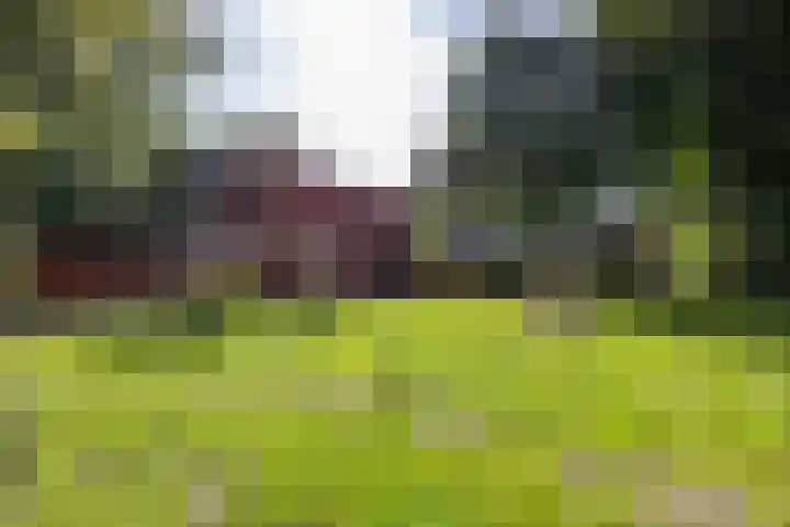 Stuurhut 15 Groningen thumbnail 36