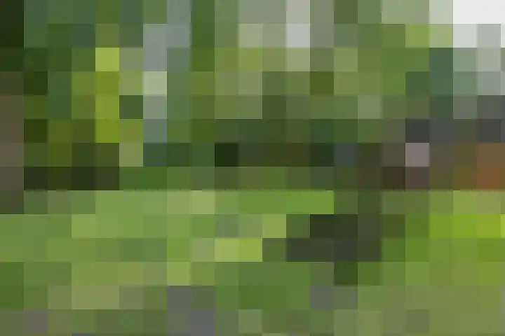Stuurhut 15 Groningen thumbnail 37