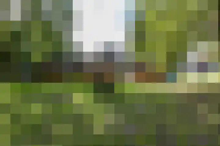 Stuurhut 15 Groningen thumbnail 38