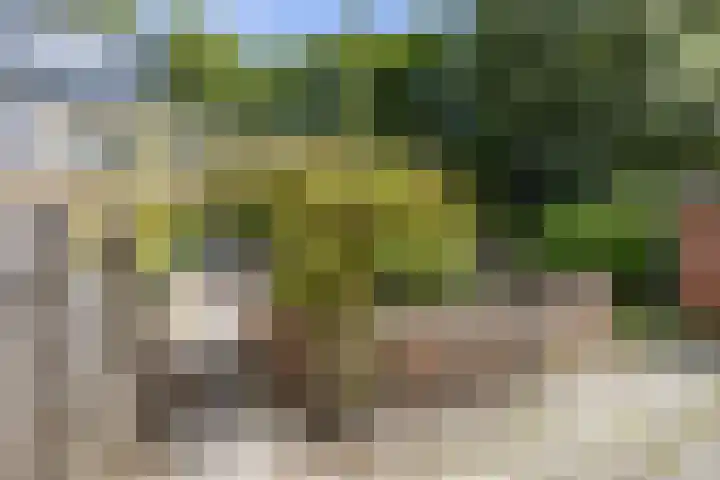 Stuurhut 15 Groningen thumbnail 39