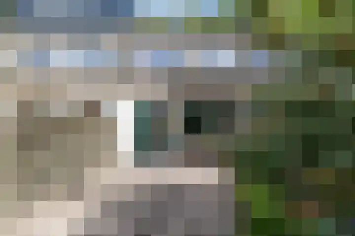 Stuurhut 15 Groningen thumbnail 4
