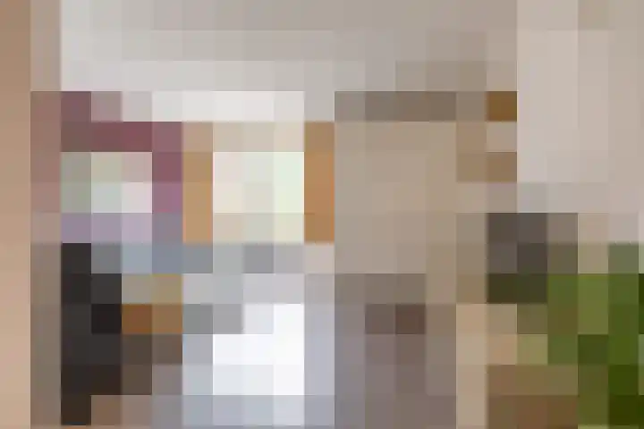 Stuurhut 15 Groningen thumbnail 7