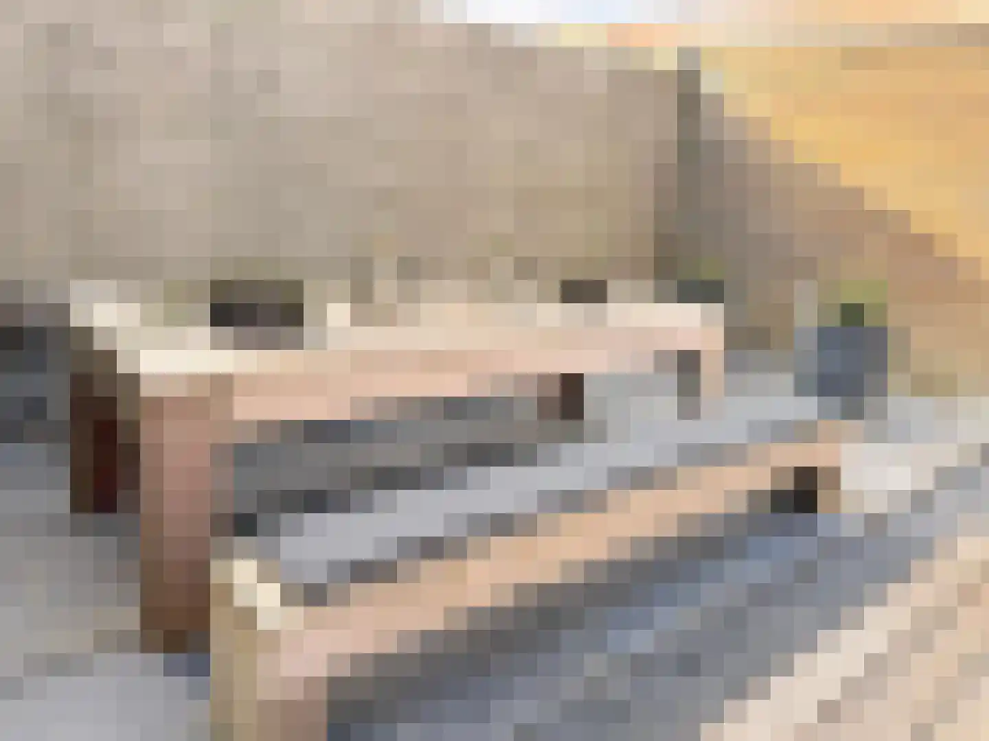 Stuurhut 16 Nijkerk thumbnail 16