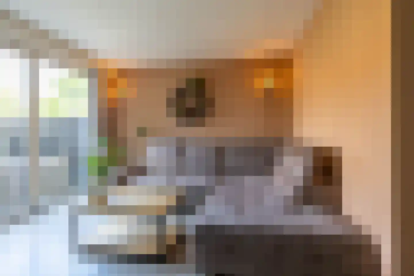 Stuurhut 30 Groningen thumbnail 15