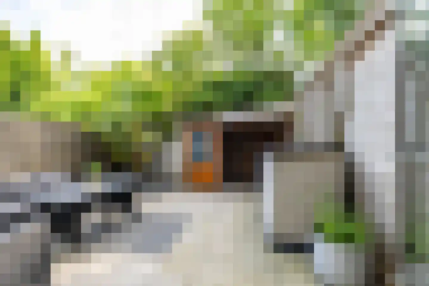 Stuurhut 30 Groningen thumbnail 22