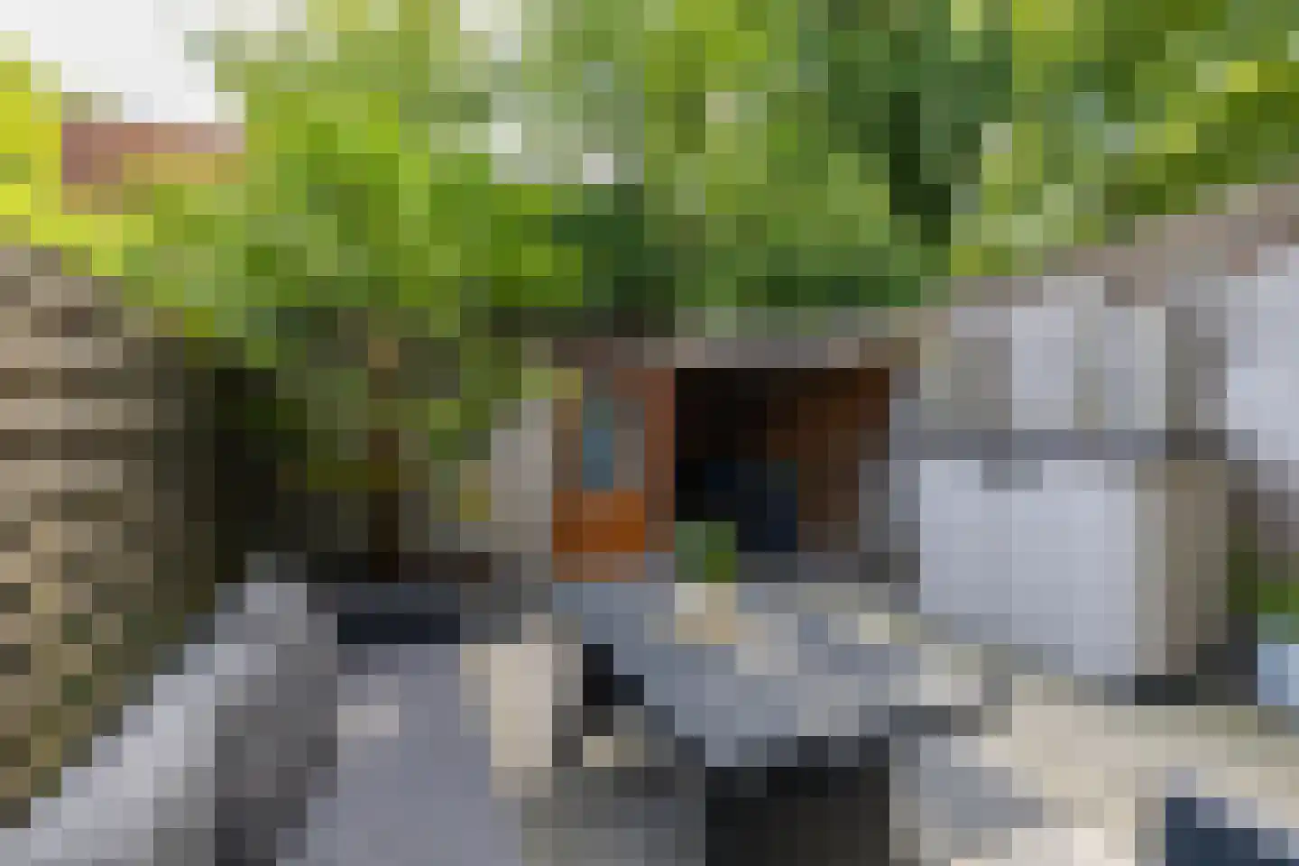 Stuurhut 30 Groningen thumbnail 23