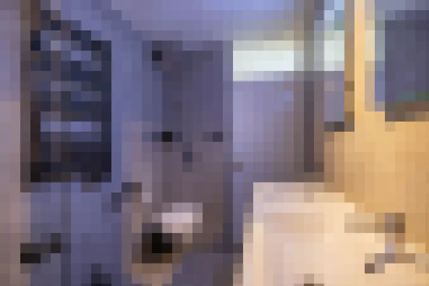 Stuurhut 30 Groningen thumbnail 38