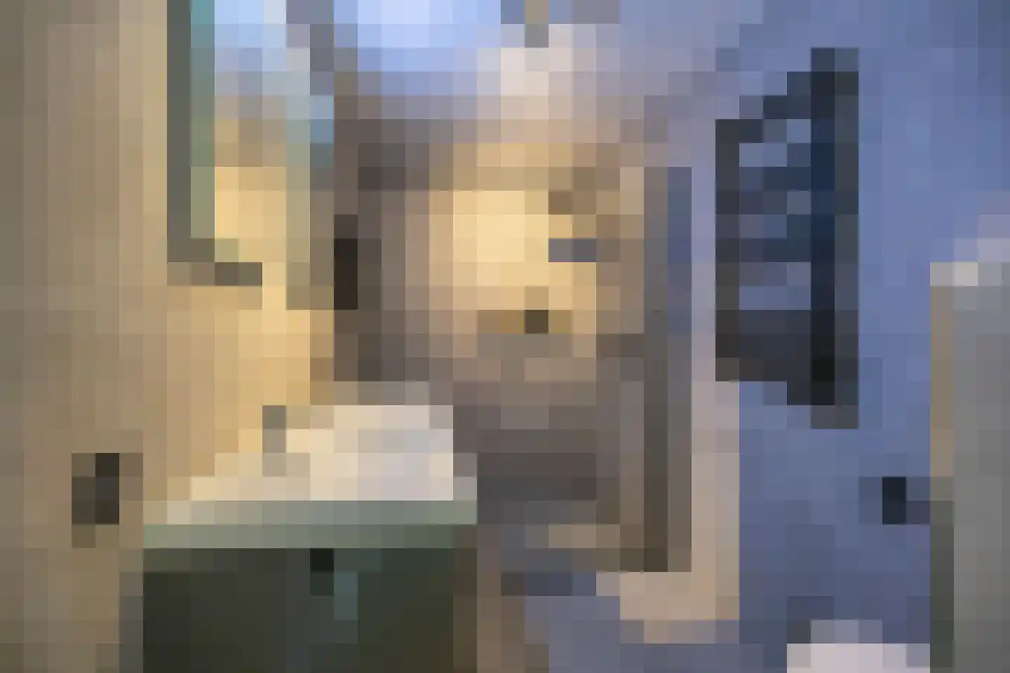Stuurhut 30 Groningen thumbnail 4