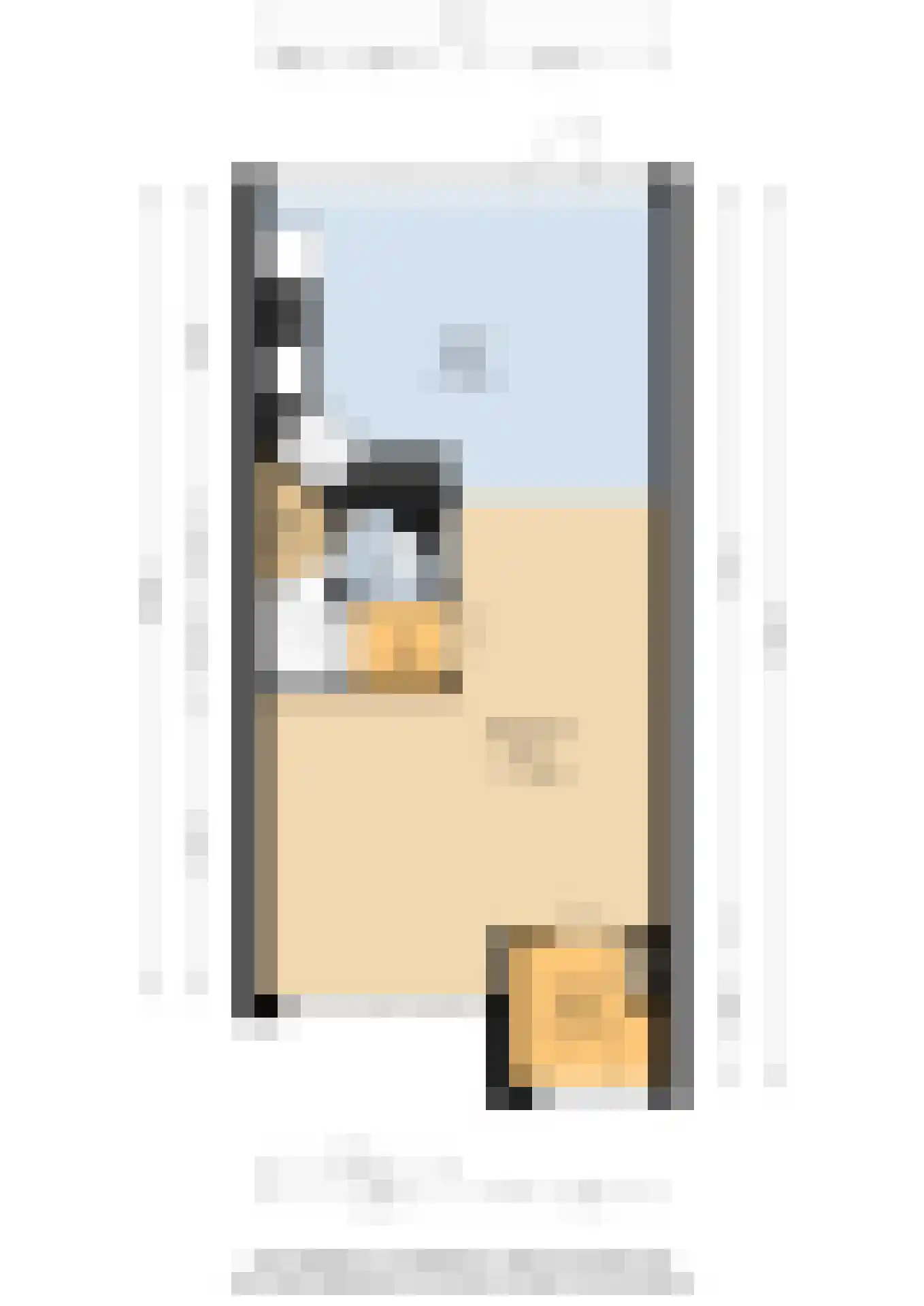 Stuurhut 30 Groningen thumbnail 40