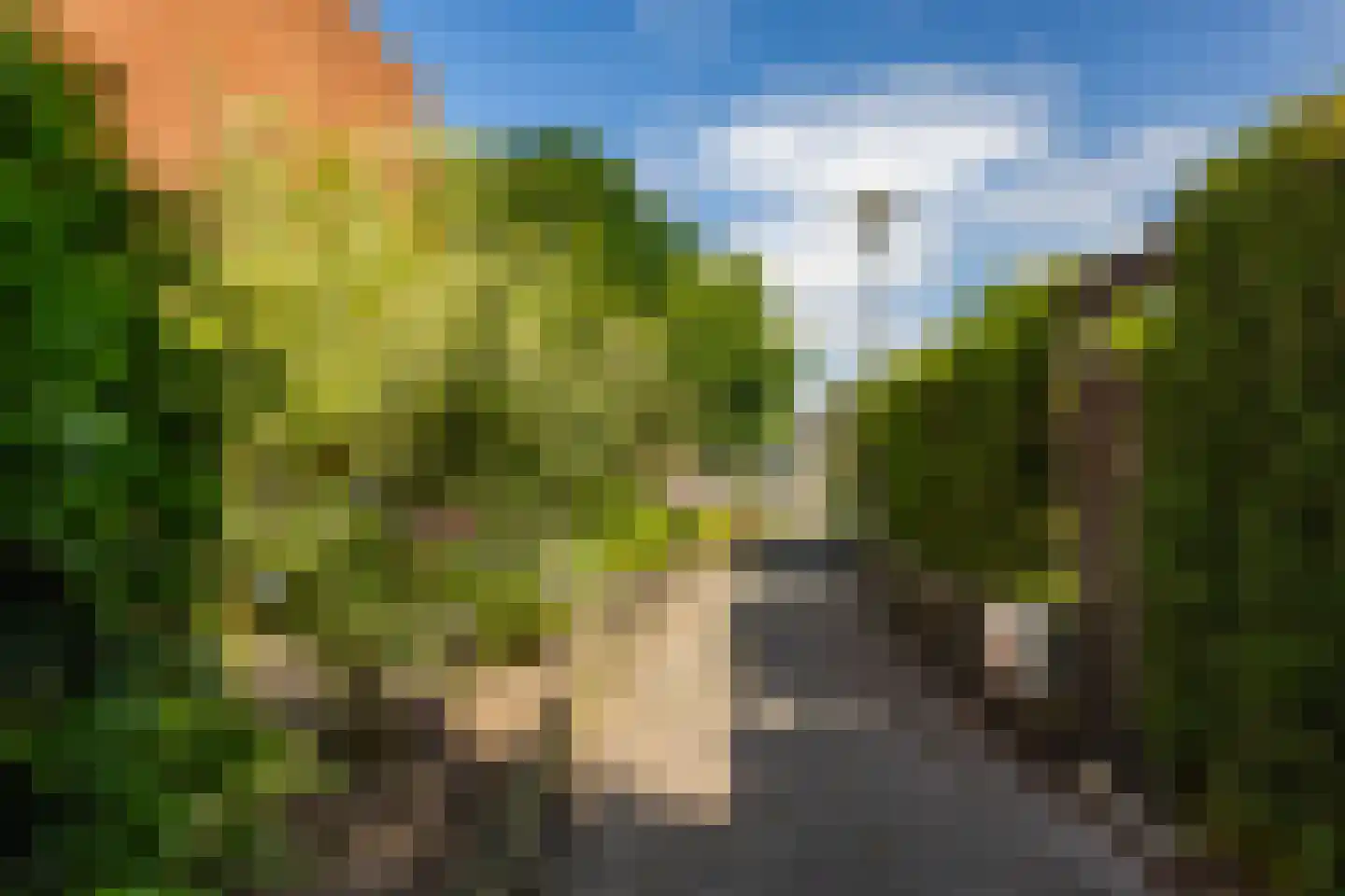 Stuurhut 30 Groningen thumbnail 6