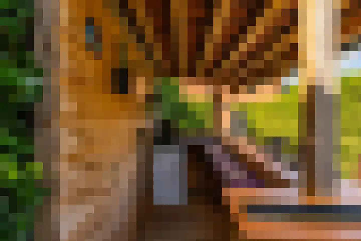 Stuurhut 30 Groningen thumbnail 8