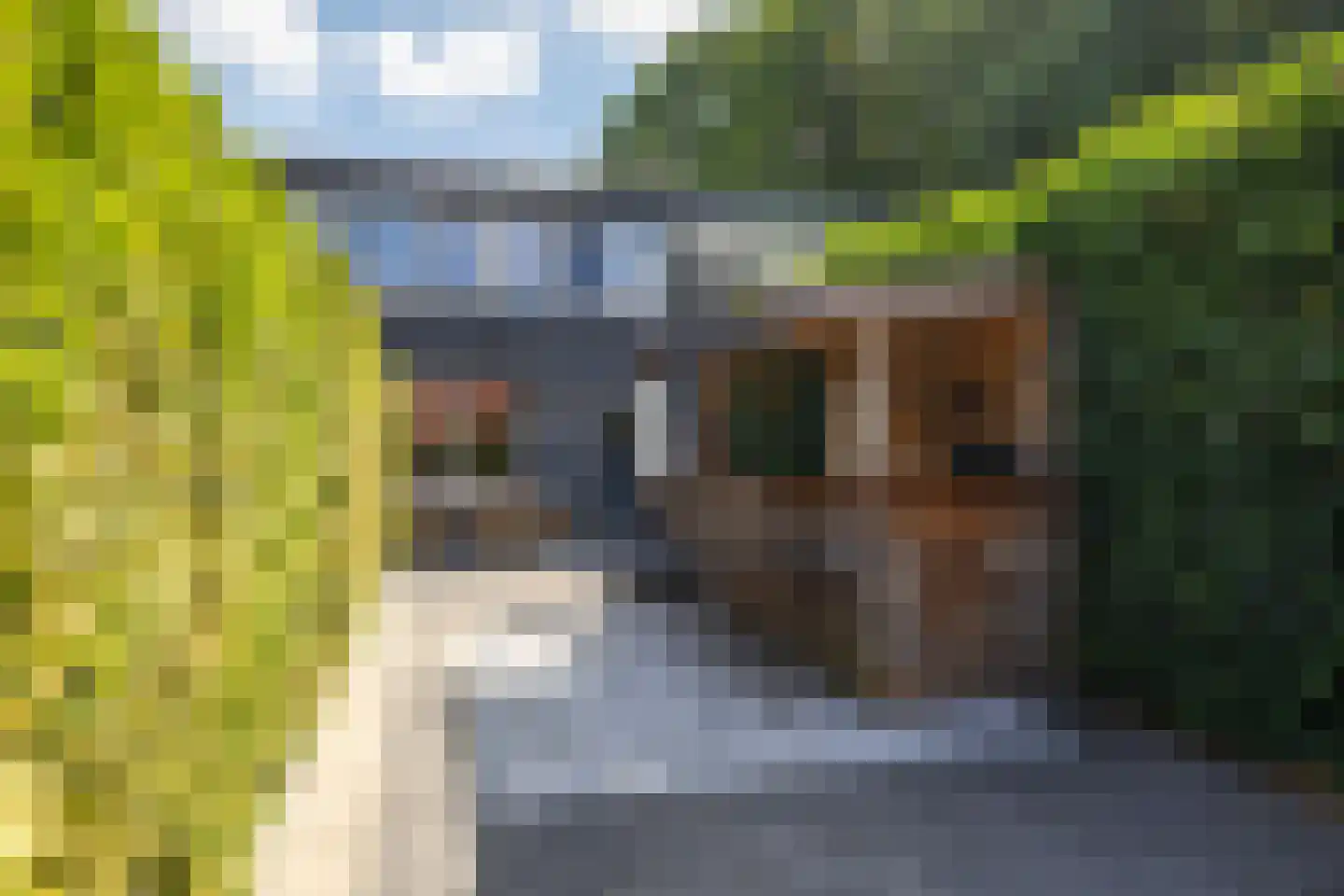 Stuurhut 30 Groningen thumbnail 9