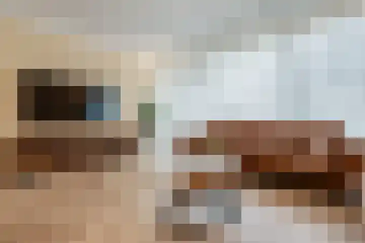 Stuurhut 31 Groningen thumbnail 12
