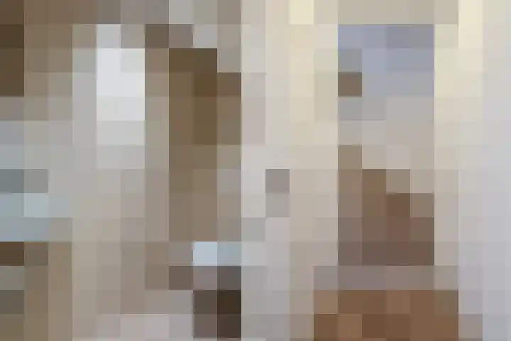 Stuurhut 31 Groningen thumbnail 13
