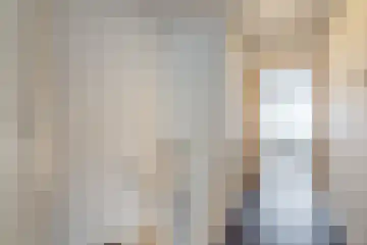 Stuurhut 31 Groningen thumbnail 14