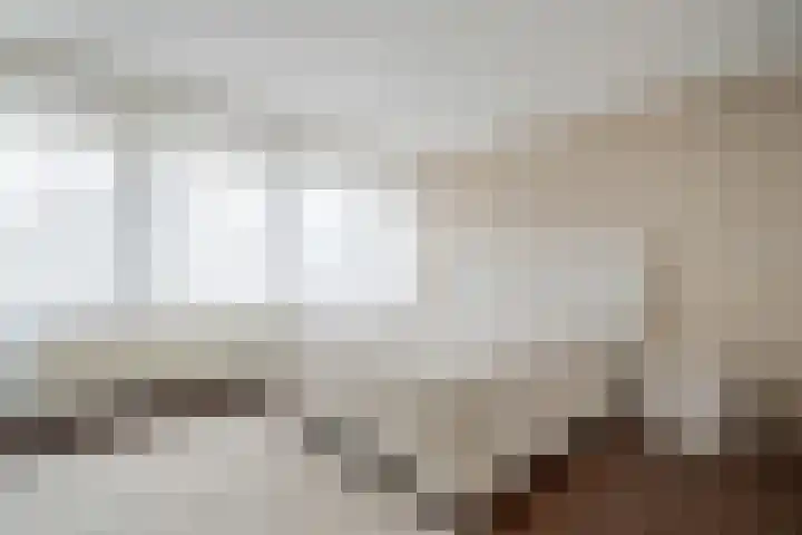 Stuurhut 31 Groningen thumbnail 15