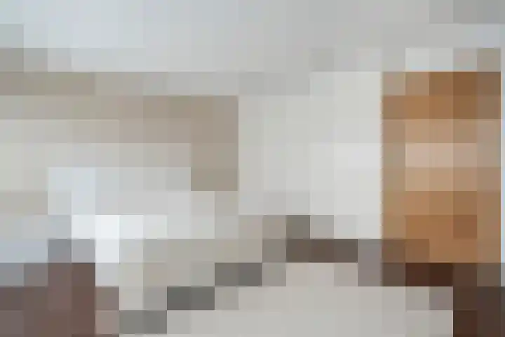 Stuurhut 31 Groningen thumbnail 16