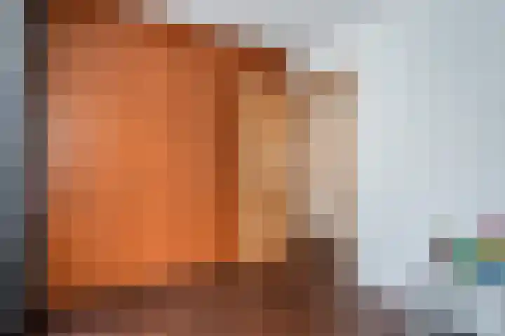 Stuurhut 31 Groningen thumbnail 19