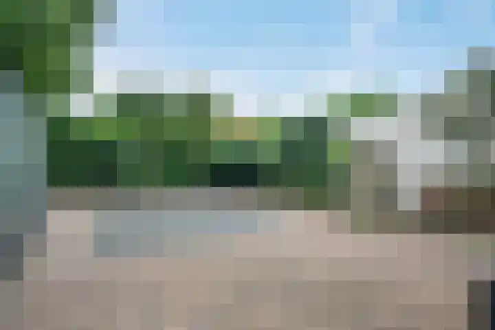 Stuurhut 31 Groningen thumbnail 22