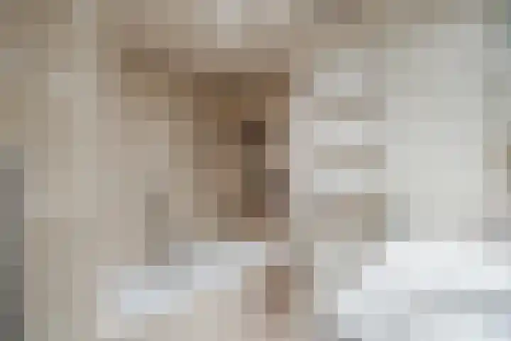 Stuurhut 31 Groningen thumbnail 23