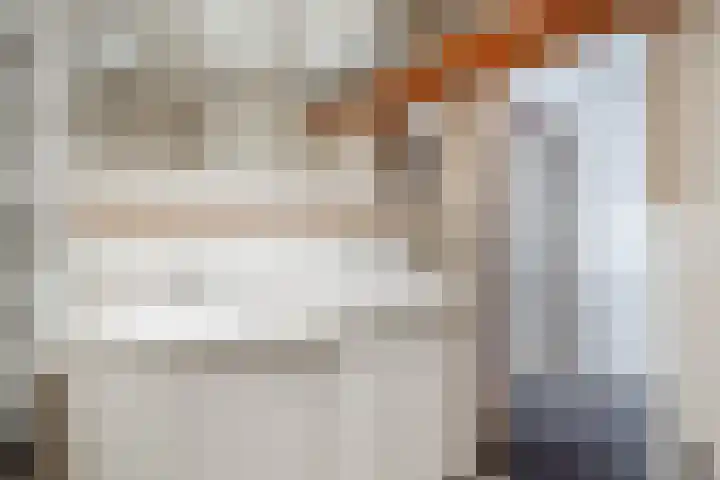 Stuurhut 31 Groningen thumbnail 24