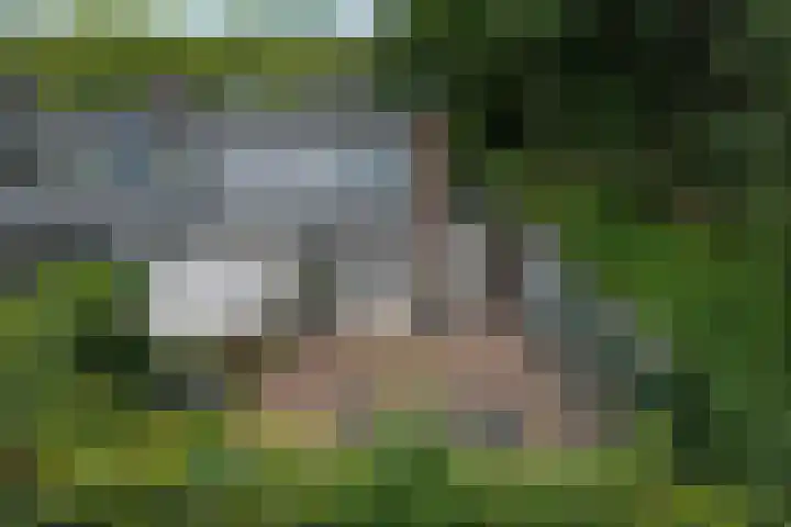 Stuurhut 31 Groningen thumbnail 26