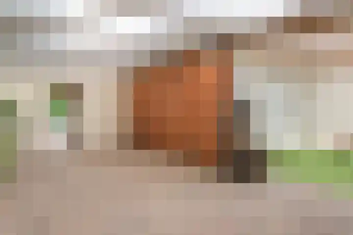 Stuurhut 31 Groningen thumbnail 28