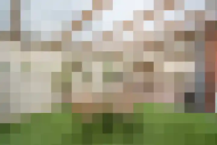 Stuurhut 31 Groningen thumbnail 29