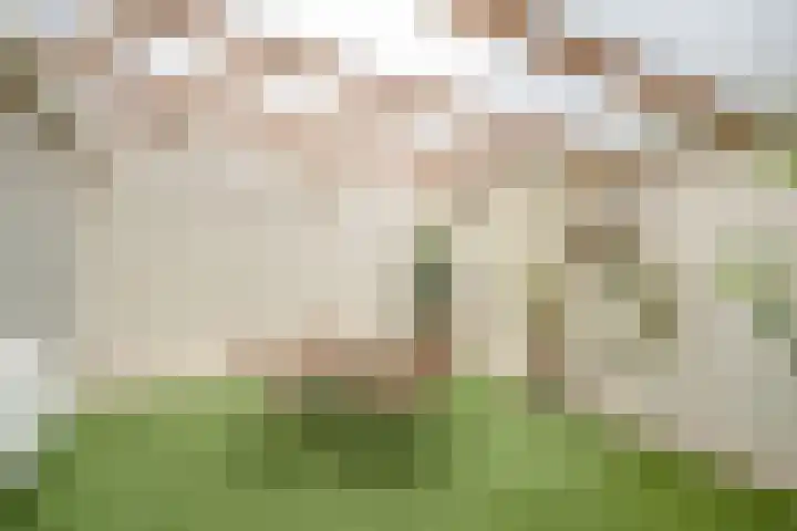 Stuurhut 31 Groningen thumbnail 30