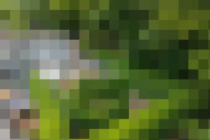 Stuurhut 31 Groningen thumbnail 31
