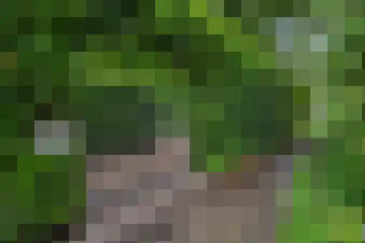 Stuurhut 31 Groningen thumbnail 32