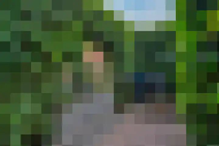 Stuurhut 31 Groningen thumbnail 33