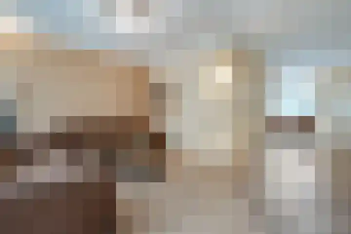 Stuurhut 31 Groningen thumbnail 5
