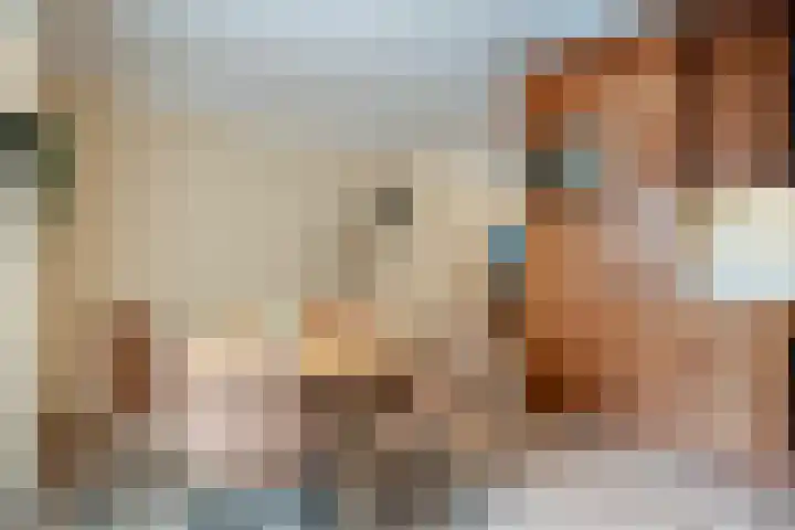 Stuurhut 31 Groningen thumbnail 8