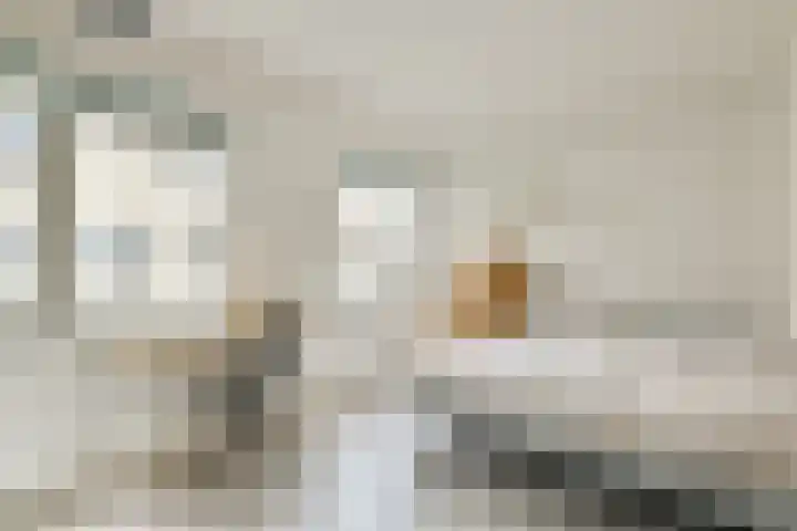 Stuurmankade 28 Amsterdam thumbnail 11