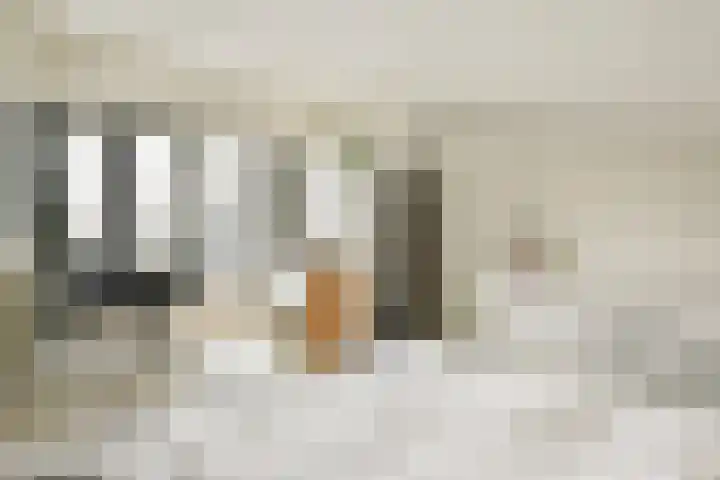 Stuurmankade 28 Amsterdam thumbnail 19