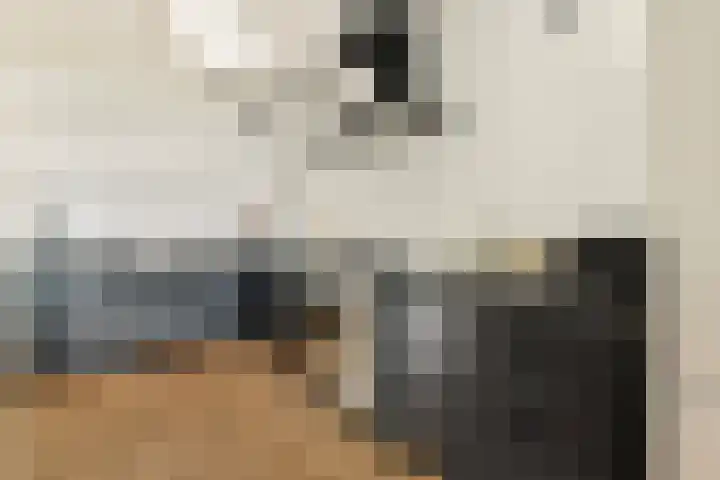 Stuurmankade 28 Amsterdam thumbnail 5