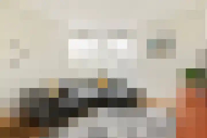 Stuurmankade 28 Amsterdam thumbnail 6