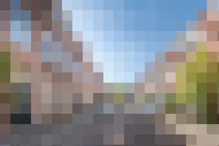 Stuverstraat 11 Haarlem thumbnail 5