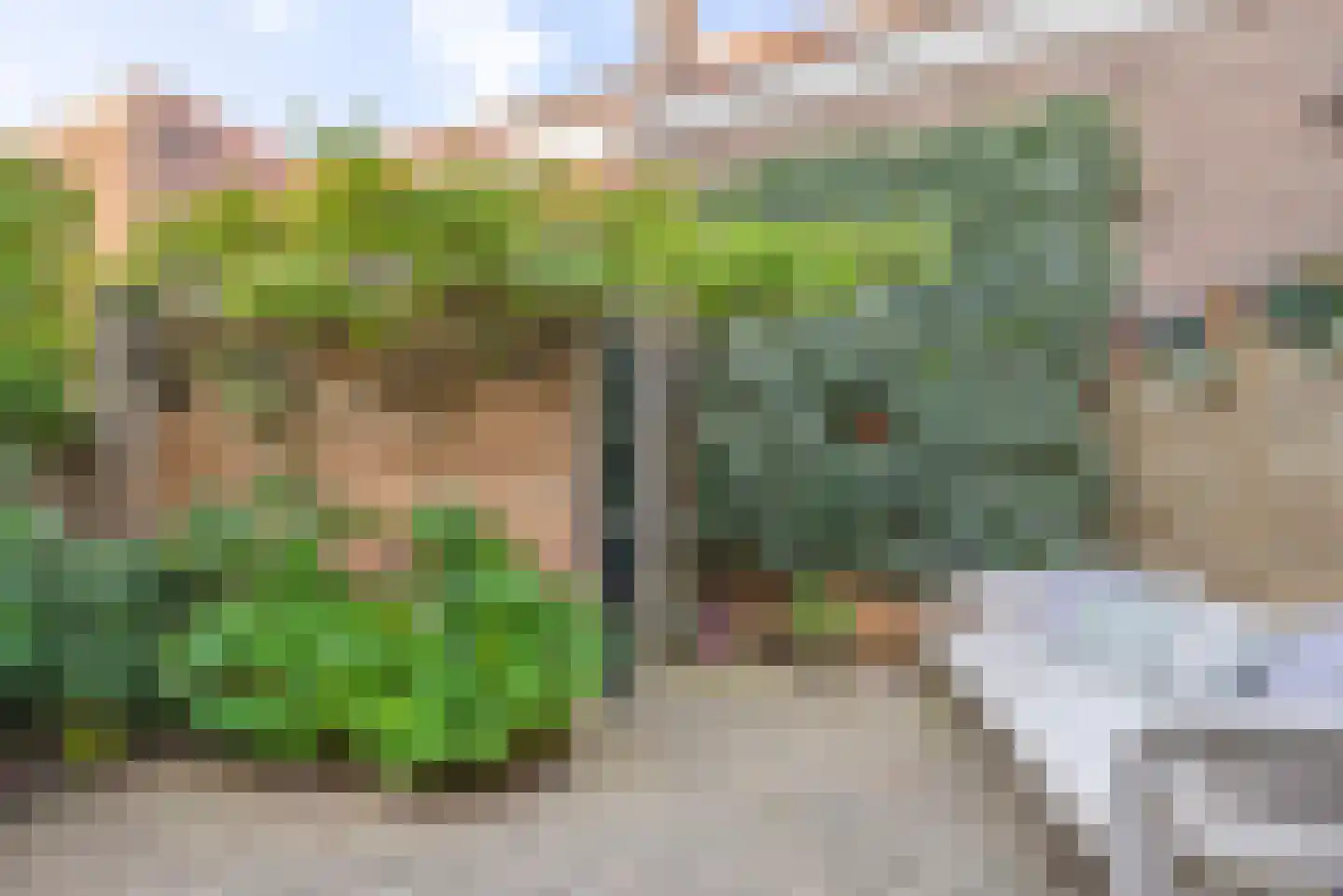 Stuverstraat 4 Haarlem thumbnail 17