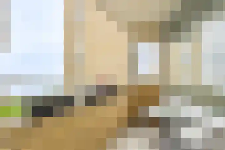 Stuvesande 166 Terneuzen thumbnail 11