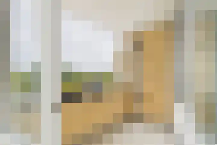 Stuvesande 166 Terneuzen thumbnail 14