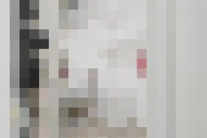 Stuvesande 166 Terneuzen thumbnail 6