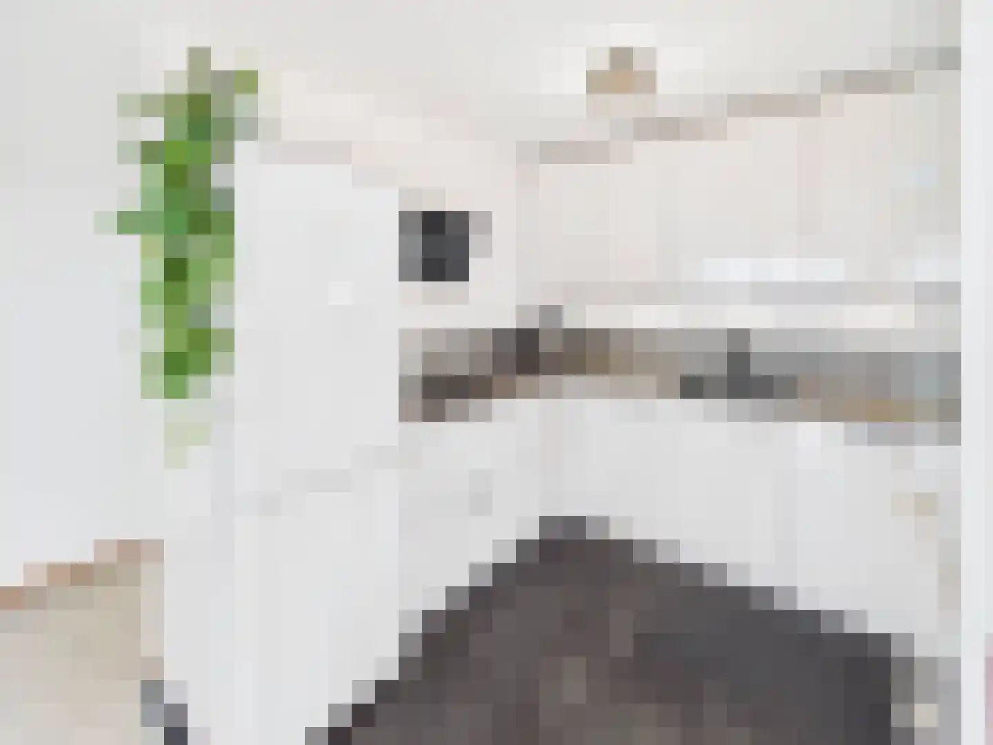 Stuvesande 214 Terneuzen thumbnail 11