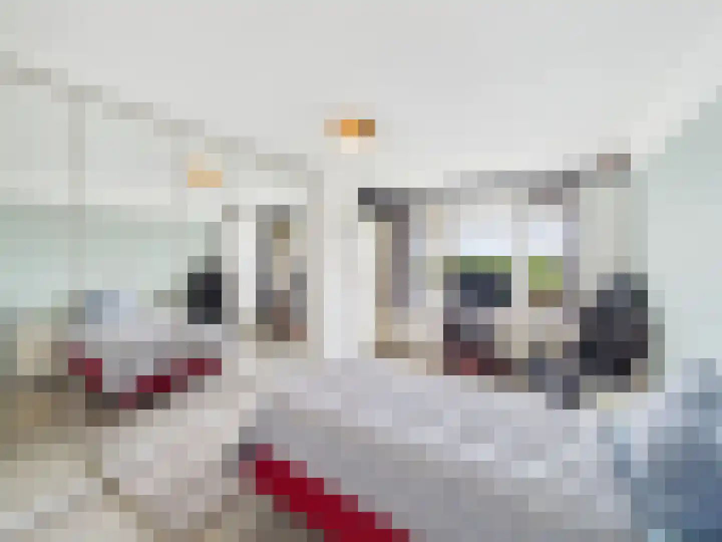 Stuvesande 214 Terneuzen thumbnail 18