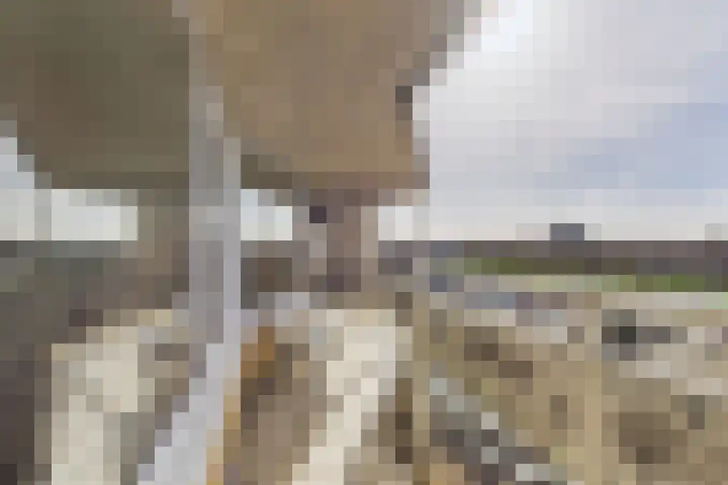 Stuvesande 346 Terneuzen thumbnail 16