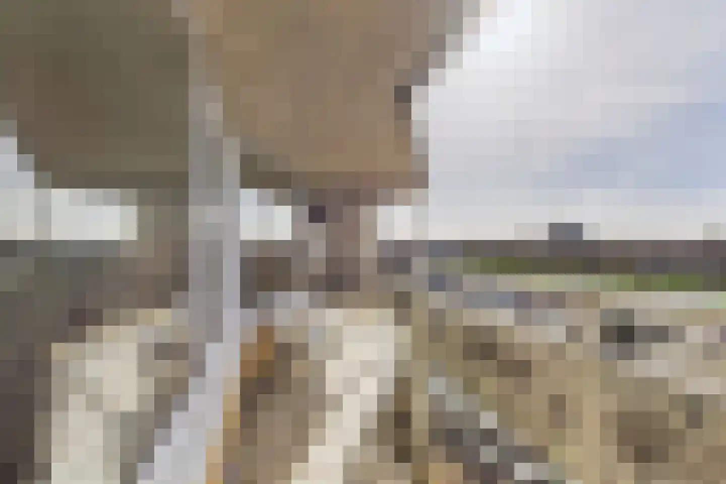 Stuvesande 346 Terneuzen thumbnail 16