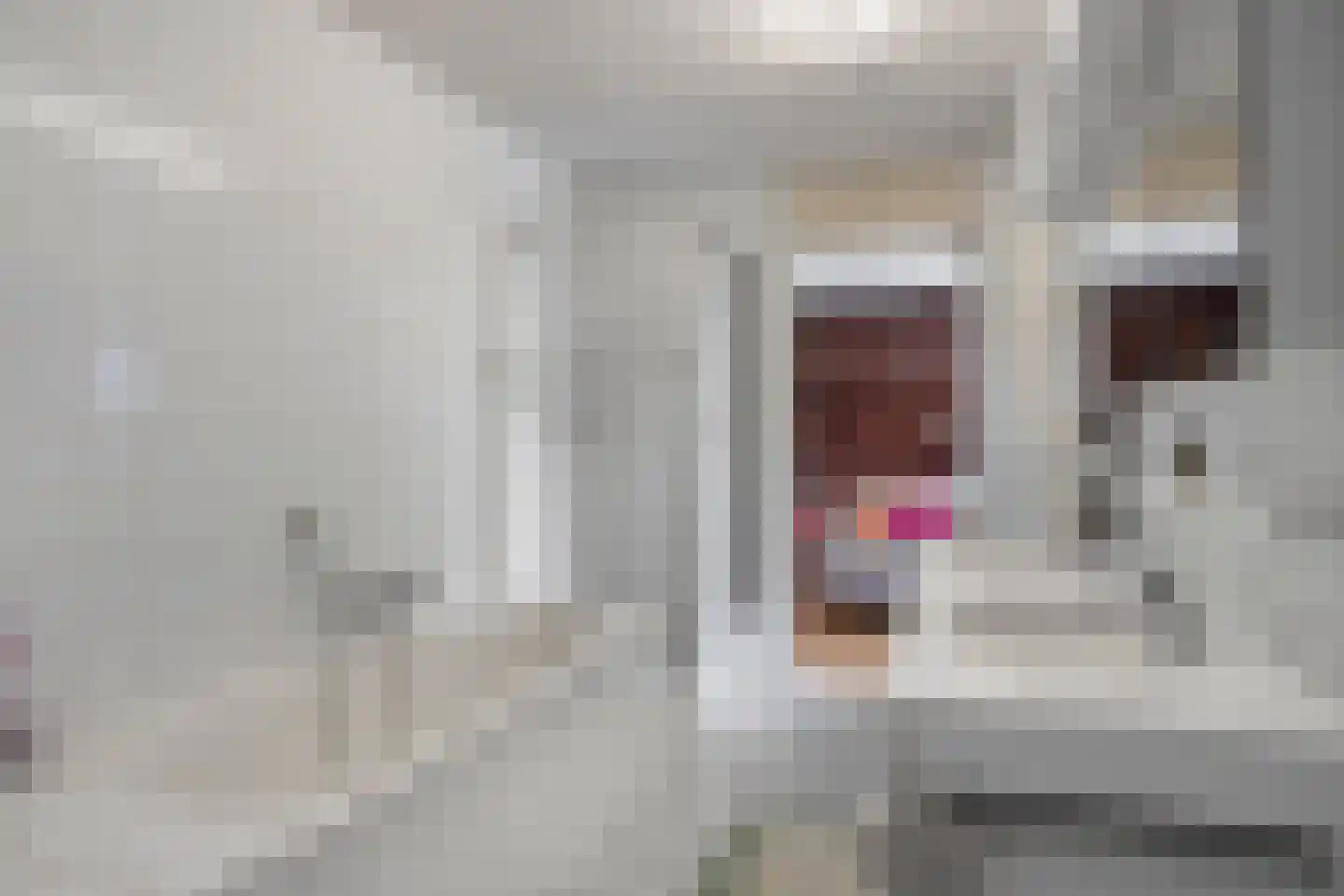 Stuvesande 44 Terneuzen thumbnail 19