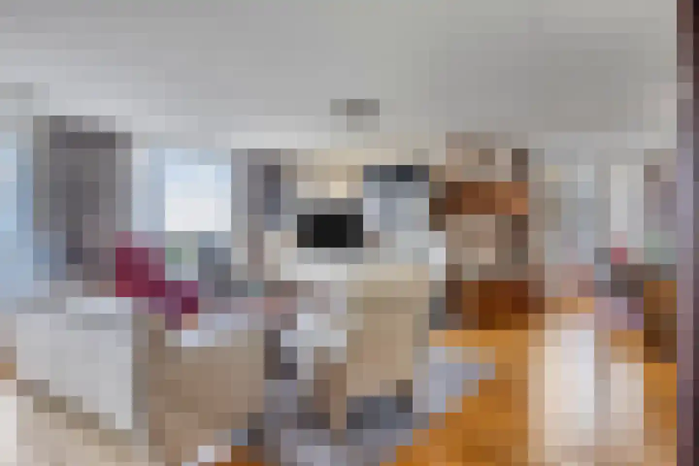 Stuvesande 44 Terneuzen thumbnail 6