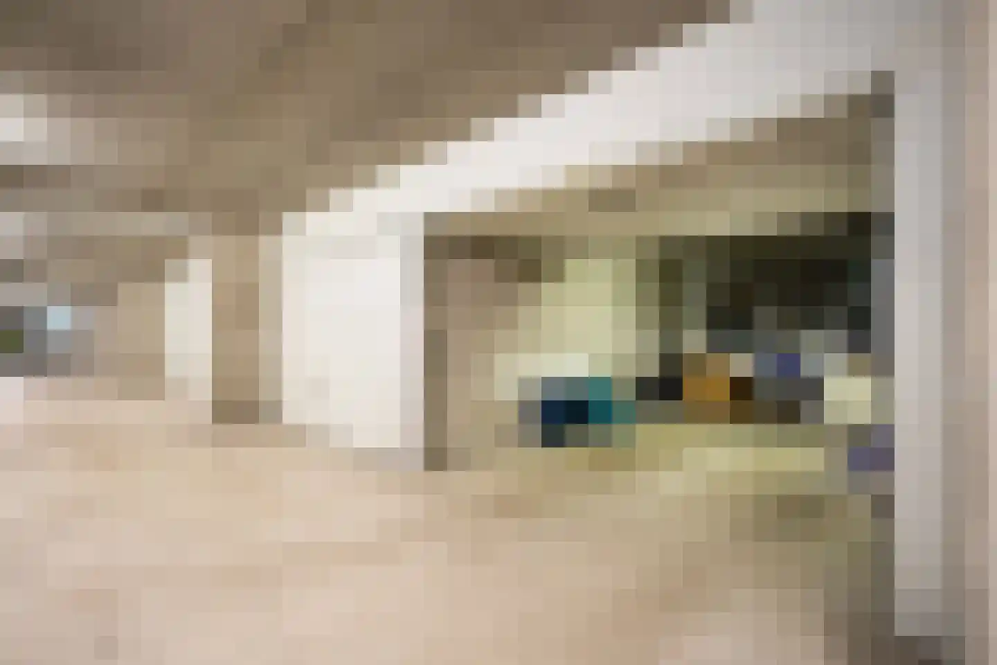 Stuvesande 450 Terneuzen thumbnail 24